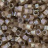 DB1862 - Silk Inside Dyed Shell AB 50 gr