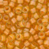 DB2045 - Luminous Mango 50 gr