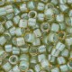 DB2052 - Luminous Asparagus Green 50 gr