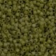 DB2124 - Duracoat opaque Cactus 50 gr