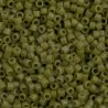DB2124 - Duracoat opaque Cactus 50 gr