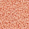 Rocaille 11/0 0429 Opaque Salmon 10 gr